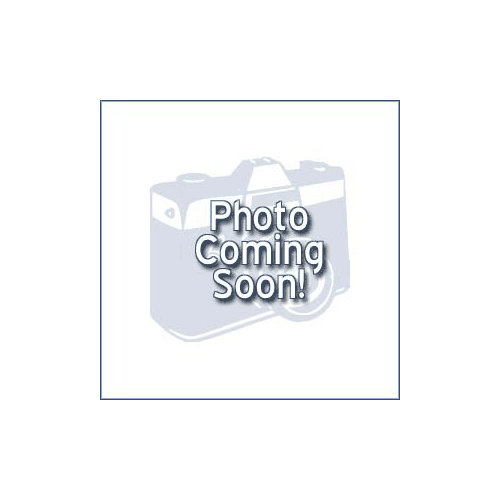 fernleaf hedging bamboo (fernleaf hedging bamboo)